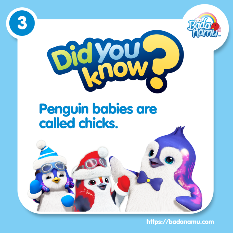 penguin-facts-_No03_B
